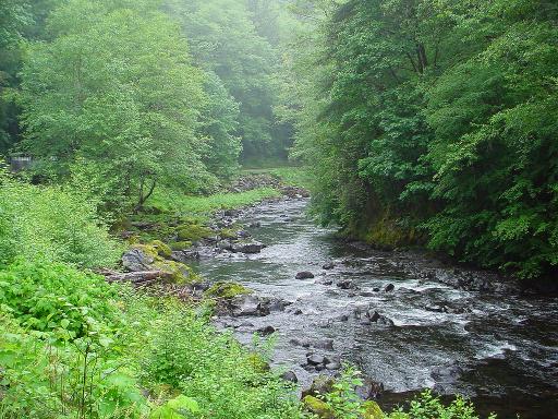 Salmonberry River