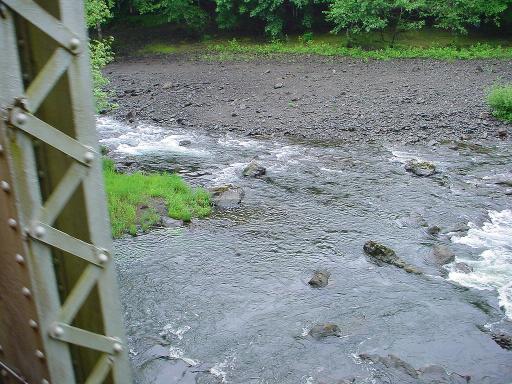 Salmonberry and Nehalem