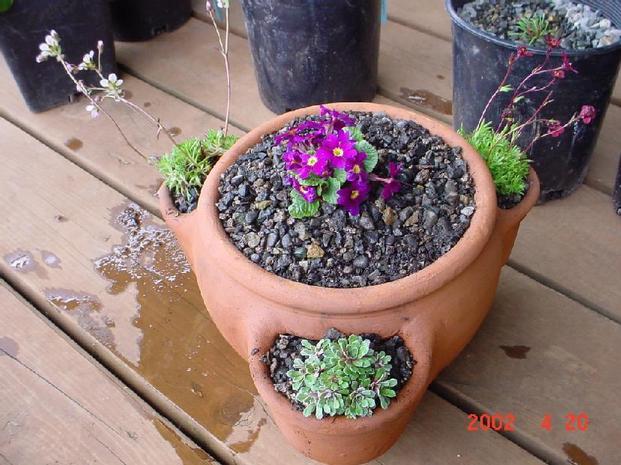 Strawberry Pot Rock Garden